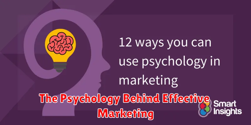 The Psychology Behind Effective Marketing
