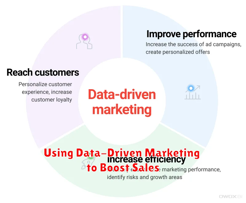 Using Data-Driven Marketing to Boost Sales